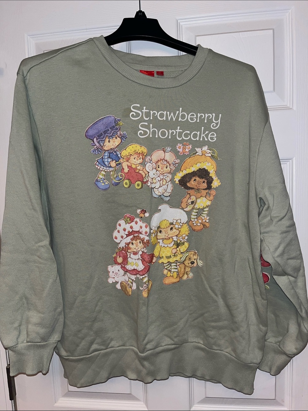 Strawberry shortcake sweatshirt